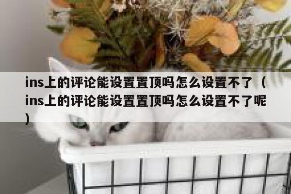 ins上的评论能设置置顶吗怎么设置不了（ins上的评论能设置置顶吗怎么设置不了呢） 第1张