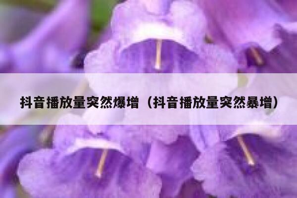抖音播放量突然爆增（抖音播放量突然暴增） 第1张