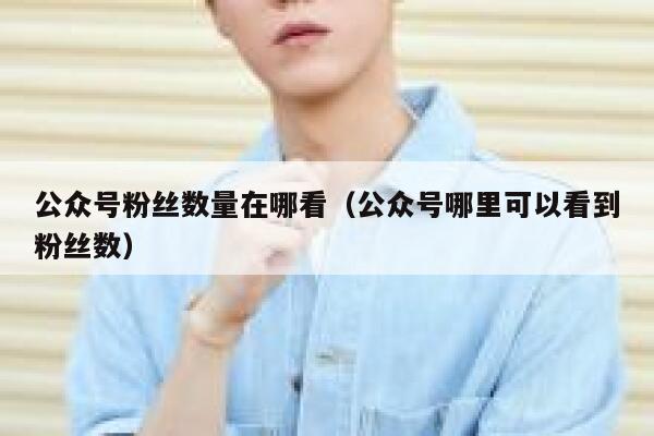 公众号粉丝数量在哪看（公众号哪里可以看到粉丝数） 第1张