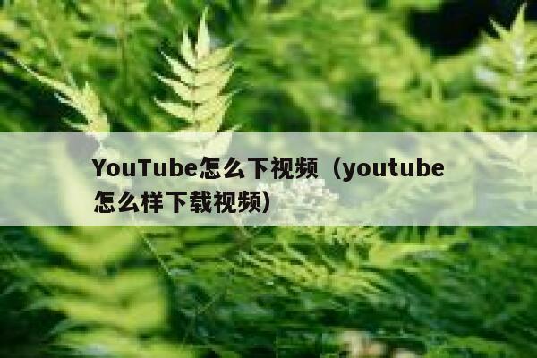 YouTube怎么下视频（youtube怎么样下载视频） 第1张