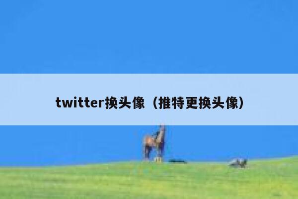 twitter换头像（推特更换头像） 第1张