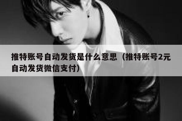 推特账号自动发货是什么意思（推特账号2元自动发货微信支付） 第1张