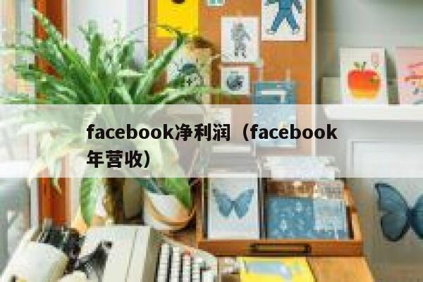 facebook净利润（facebook年营收） 第1张
