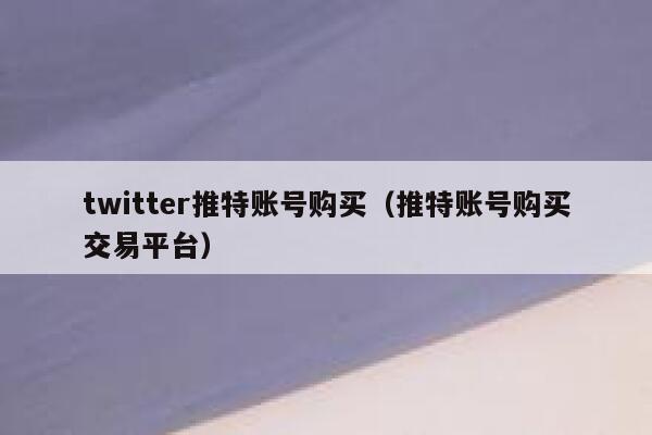 twitter推特账号购买（推特账号购买交易平台） 第1张