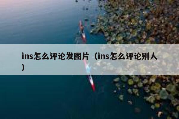 ins怎么评论发图片（ins怎么评论别人） 第1张