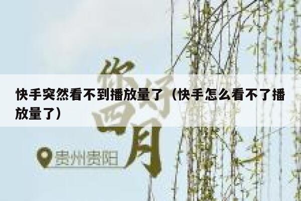 快手突然看不到播放量了（快手怎么看不了播放量了） 第1张