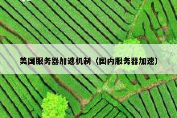 美国服务器加速机制（国内服务器加速） 第1张