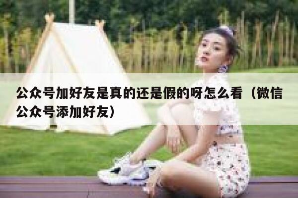 公众号加好友是真的还是假的呀怎么看（微信公众号添加好友） 第1张