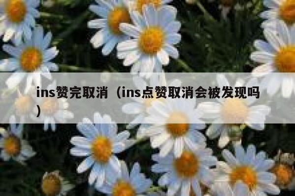 ins赞完取消（ins点赞取消会被发现吗） 第1张