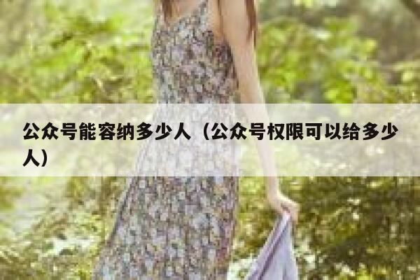 公众号能容纳多少人（公众号权限可以给多少人） 第1张