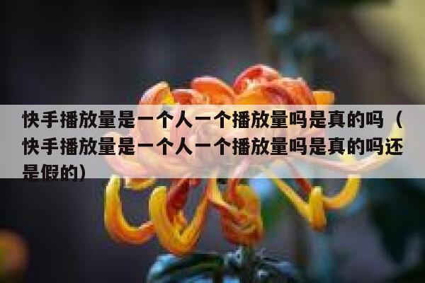 快手播放量是一个人一个播放量吗是真的吗（快手播放量是一个人一个播放量吗是真的吗还是假的） 第1张