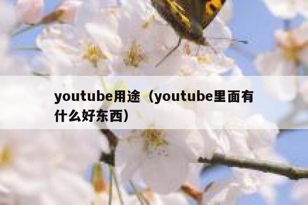 youtube用途（youtube里面有什么好东西） 第1张