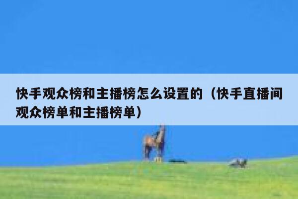 快手观众榜和主播榜怎么设置的（快手直播间观众榜单和主播榜单） 第1张