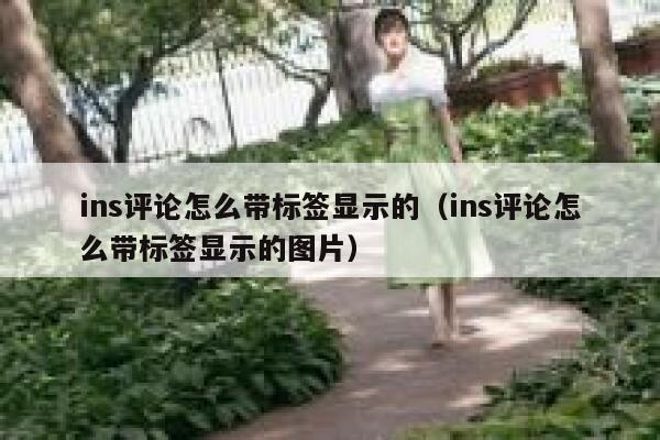 ins评论怎么带标签显示的（ins评论怎么带标签显示的图片） 第1张