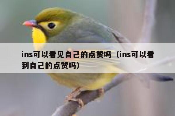 ins可以看见自己的点赞吗（ins可以看到自己的点赞吗） 第1张