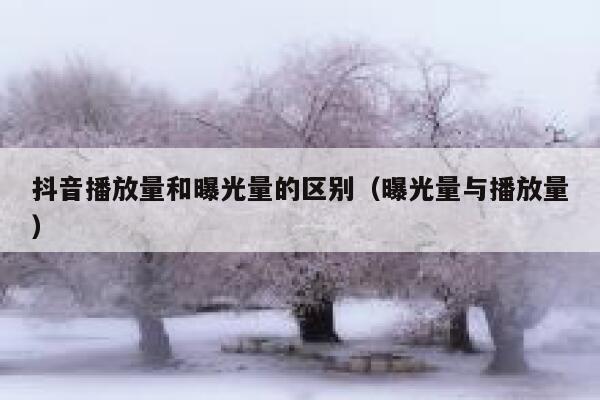 抖音播放量和曝光量的区别（曝光量与播放量） 第1张