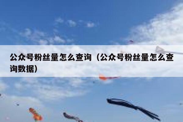 公众号粉丝量怎么查询（公众号粉丝量怎么查询数据） 第1张