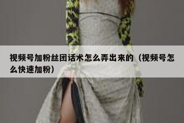 视频号加粉丝团话术怎么弄出来的（视频号怎么快速加粉） 第1张