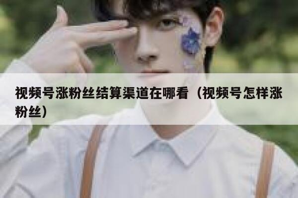 视频号涨粉丝结算渠道在哪看（视频号怎样涨粉丝） 第1张