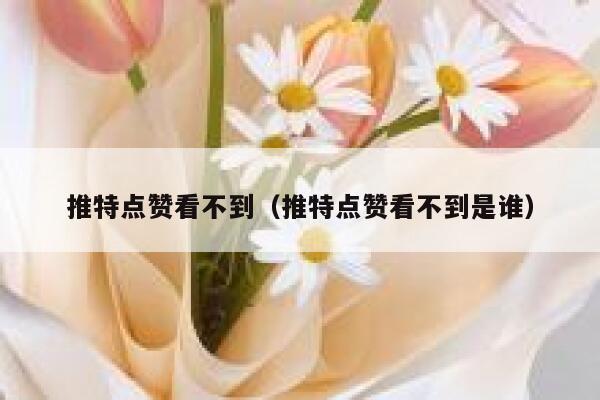 推特点赞看不到（推特点赞看不到是谁） 第1张