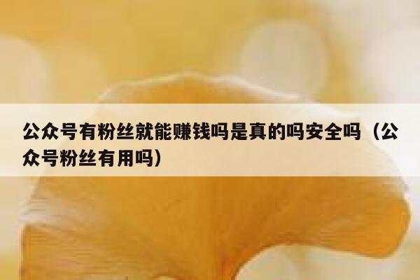公众号有粉丝就能赚钱吗是真的吗安全吗(公众号粉丝有用吗) 第1张 公众号有粉丝就能赚钱吗是真的吗安全吗(公众号粉丝有用吗) 第1张
