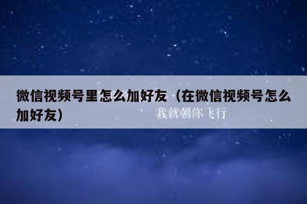 微信视频号里怎么加好友（在微信视频号怎么加好友） 第1张