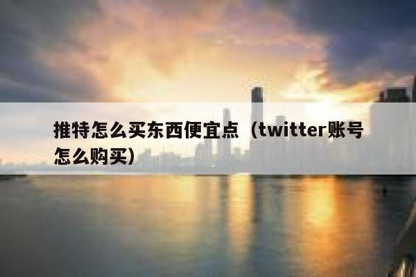 推特怎么买东西便宜点（twitter账号怎么购买） 第1张