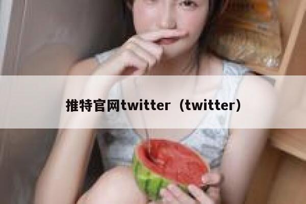 推特官网twitter（twitter） 第1张