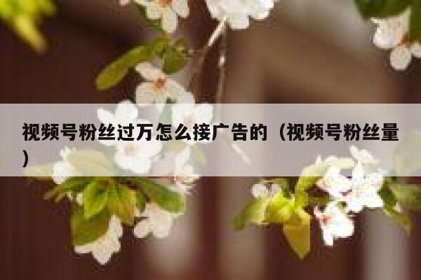 视频号粉丝过万怎么接广告的（视频号粉丝量） 第1张