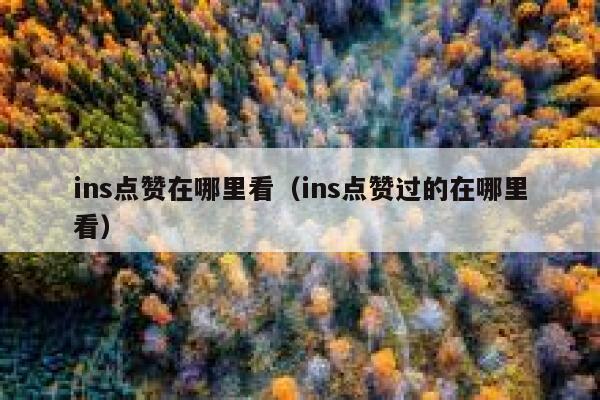 ins点赞在哪里看（ins点赞过的在哪里看） 第1张