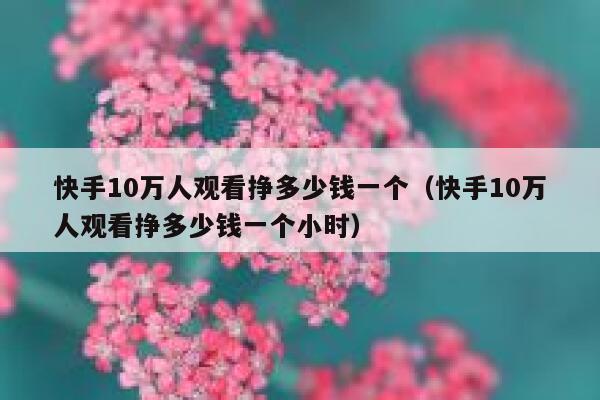 快手10万人观看挣多少钱一个（快手10万人观看挣多少钱一个小时） 第1张