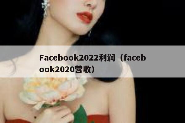 Facebook2022利润（facebook2020营收） 第1张