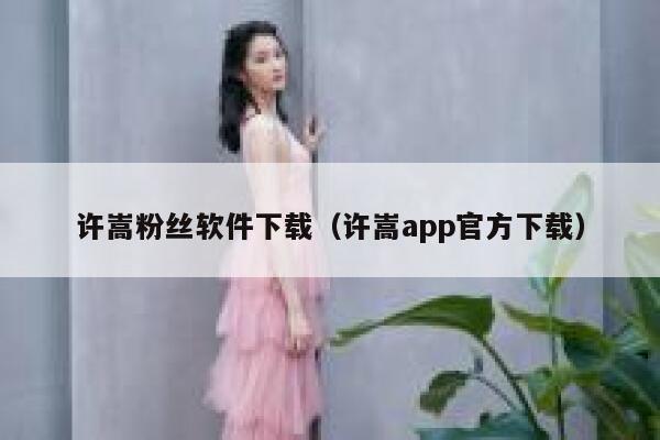 许嵩粉丝软件下载（许嵩app官方下载） 第1张