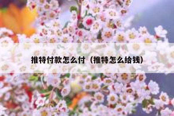推特付款怎么付（推特怎么给钱） 第1张