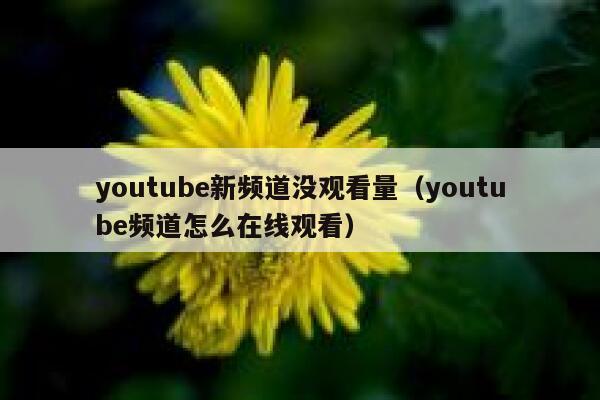 youtube新频道没观看量（youtube频道怎么在线观看） 第1张