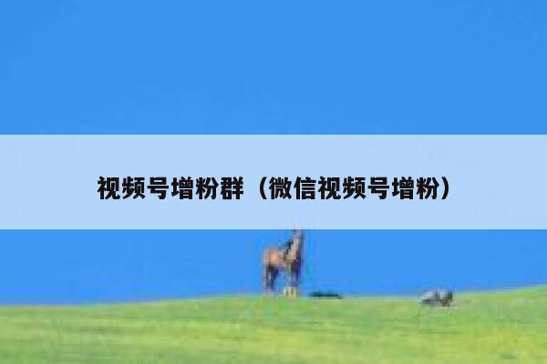 视频号增粉群（微信视频号增粉） 第1张