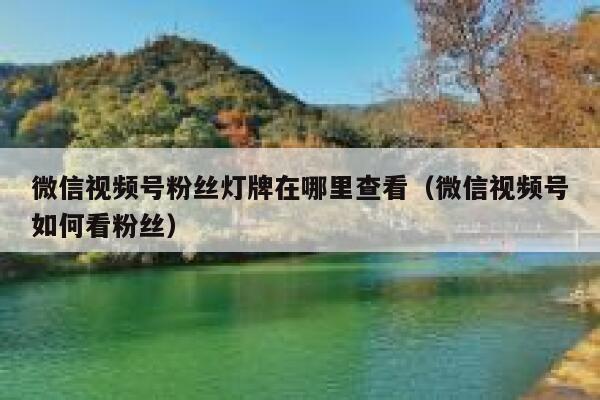微信视频号粉丝灯牌在哪里查看（微信视频号如何看粉丝） 第1张