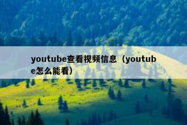youtube查看视频信息（youtube怎么能看） 第1张