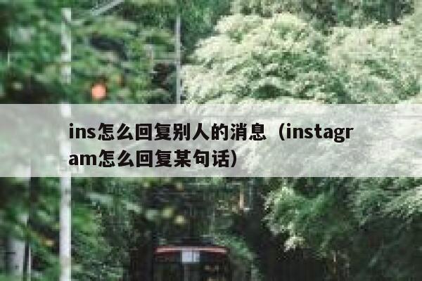 ins怎么回复别人的消息（instagram怎么回复某句话） 第1张