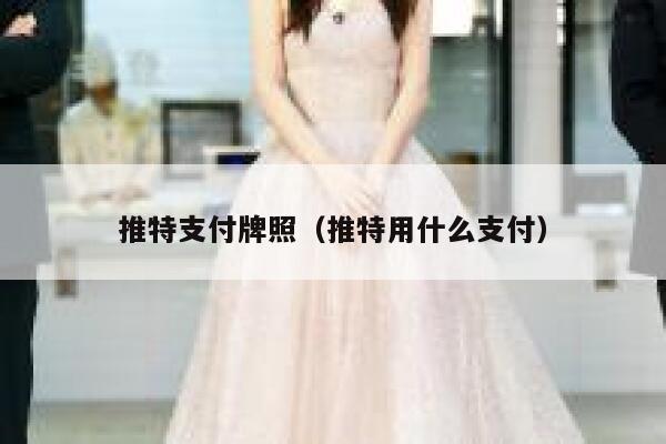 推特支付牌照（推特用什么支付） 第1张