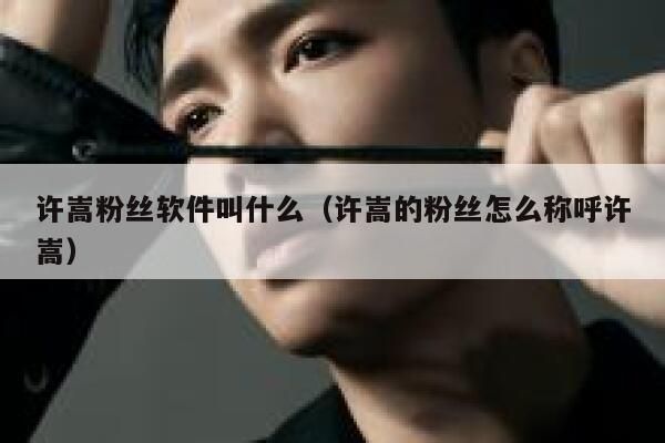许嵩粉丝软件叫什么（许嵩的粉丝怎么称呼许嵩） 第1张