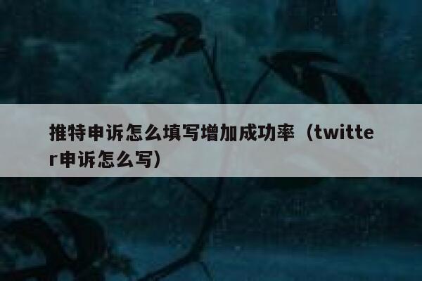 推特申诉怎么填写增加成功率（twitter申诉怎么写） 第1张
