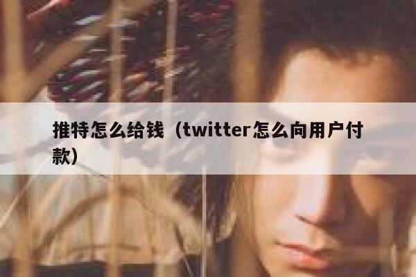 推特怎么给钱（twitter怎么向用户付款） 第1张