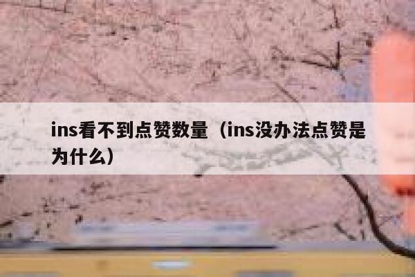 ins看不到点赞数量（ins没办法点赞是为什么） 第1张