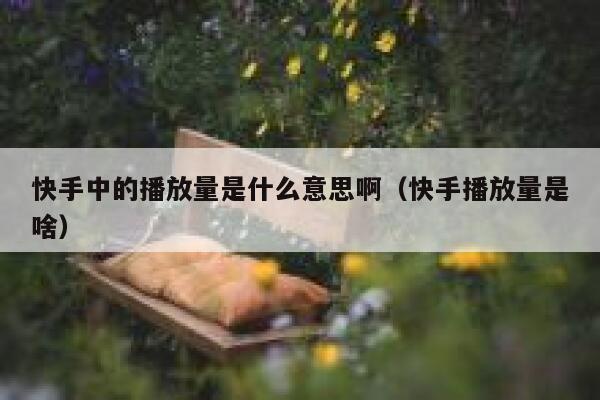 快手中的播放量是什么意思啊（快手播放量是啥） 第1张