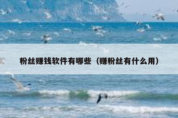 粉丝赚钱软件有哪些（赚粉丝有什么用） 第1张