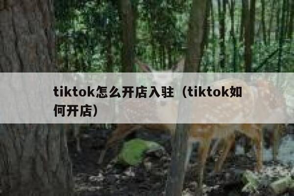 tiktok怎么开店入驻（tiktok如何开店） 第1张