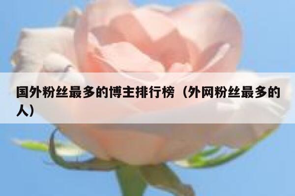 国外粉丝最多的博主排行榜（外网粉丝最多的人） 第1张