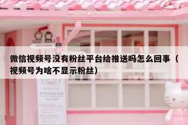 微信视频号没有粉丝平台给推送吗怎么回事（视频号为啥不显示粉丝） 第1张