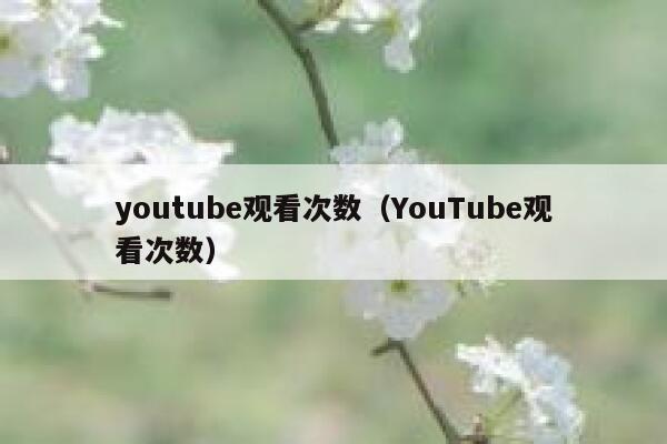 youtube观看次数（YouTube观看次数） 第1张